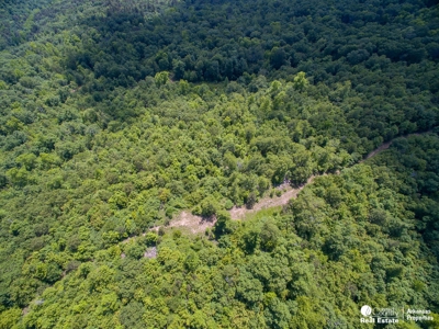 15.07 Pristine Mountain Acres - image 13