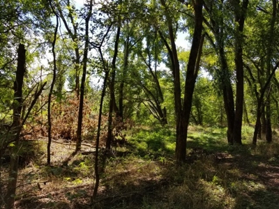 Crooked Creek in the Arkansas Ozarks - image 3