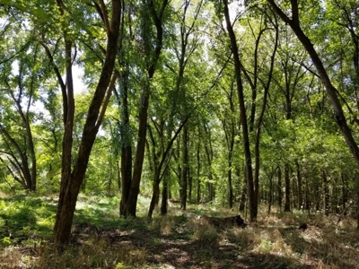 Crooked Creek in the Arkansas Ozarks - image 1