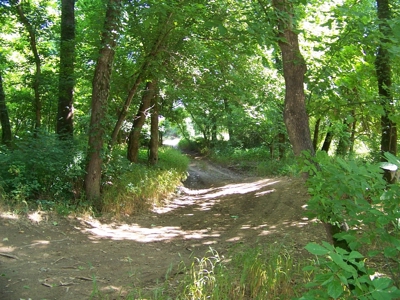 Crooked Creek in the Arkansas Ozarks - image 6