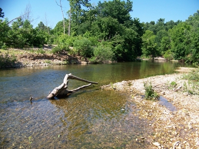 Crooked Creek in the Arkansas Ozarks - image 4