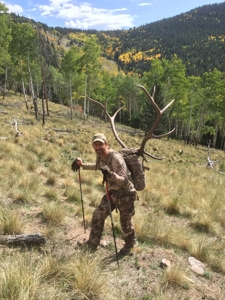 Colorado Mountain Cabin Retreat For Sale - image 3
