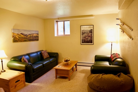 Colorado Mountain Cabin Retreat For Sale - image 28