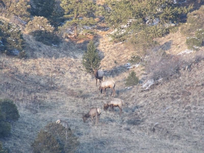 Remote 3brm, 2ba in Huerfano County Gardner Co - image 33