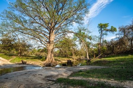 Sisterdale  Ranch For Sale Kendall County, Tx -268 Acres - image 8