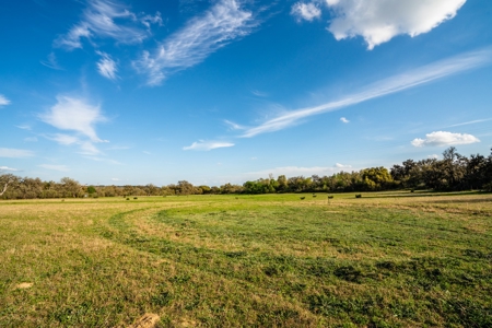 Sisterdale  Ranch For Sale Kendall County, Tx -268 Acres - image 7