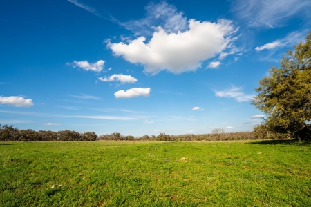 Sisterdale  Ranch For Sale Kendall County, Tx -268 Acres - image 6
