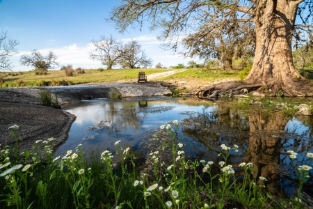 Sisterdale  Ranch For Sale Kendall County, Tx -268 Acres - image 9