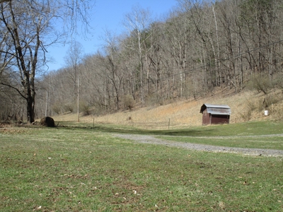 Gorgeous WV Log Home with 85 Acres and Free Gas! - image 44