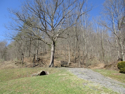 Gorgeous WV Log Home with 85 Acres and Free Gas! - image 10