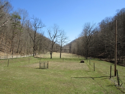 Gorgeous WV Log Home with 85 Acres and Free Gas! - image 43