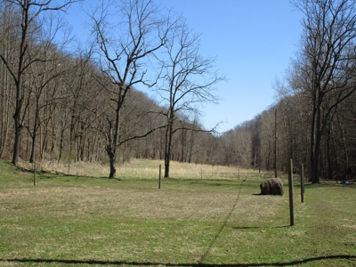Gorgeous WV Log Home with 85 Acres and Free Gas! - image 42