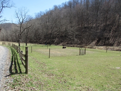 Gorgeous WV Log Home with 85 Acres and Free Gas! - image 13