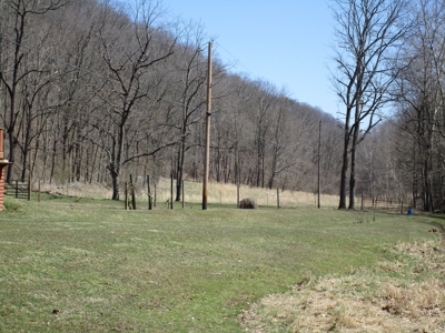 Gorgeous WV Log Home with 85 Acres and Free Gas! - image 9