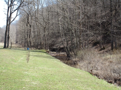 Gorgeous WV Log Home with 85 Acres and Free Gas! - image 15