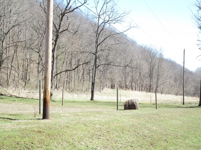 Gorgeous WV Log Home with 85 Acres and Free Gas! - image 16