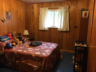 Monroe County, Clarington, OH Brick Ranch Home on Basement - image 11