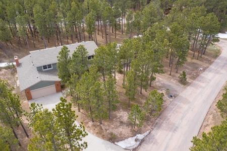 Beautiful two-story Woodmoor home on .88 treed acres - image 13
