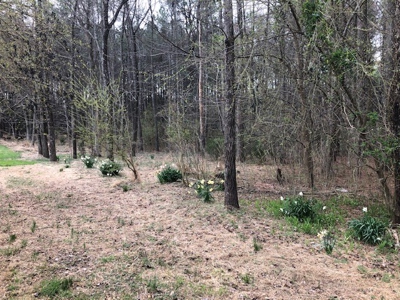 Farmhouse in Rural Area of Dinwiddie County, VA - image 4