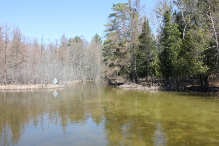 Chain O' Lakes Home & Cottage Estate For Sale Waupaca WI - image 41