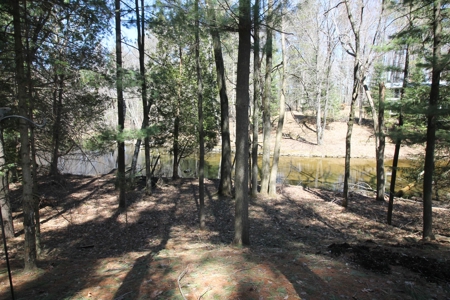 Chain O' Lakes Home & Cottage Estate For Sale Waupaca WI - image 33