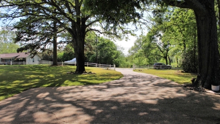 Lake Palestine Waterfront Home For Sale | Home With Pool - image 5