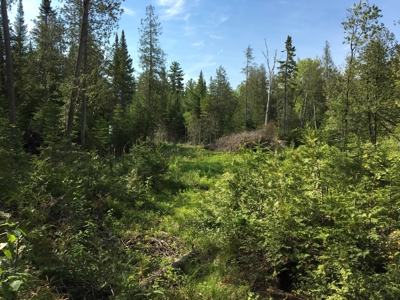 Off-Grid Cabin on a Trout Stream Maine - image 37