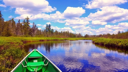 Off-Grid Cabin on a Trout Stream Maine - image 6