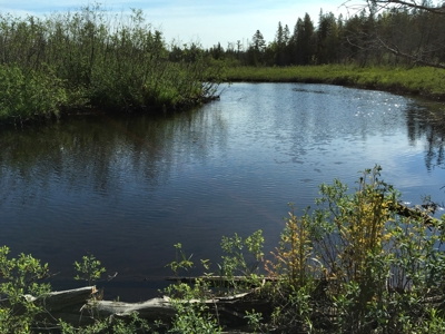 Off-Grid Cabin on a Trout Stream Maine - image 34