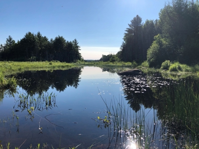 Off-Grid Cabin on a Trout Stream Maine - image 28