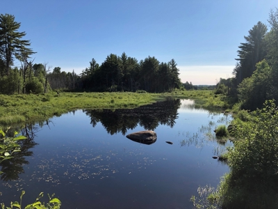 Off-Grid Cabin on a Trout Stream Maine - image 26