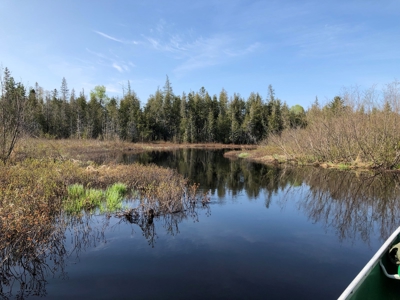 Off-Grid Cabin on a Trout Stream Maine - image 21