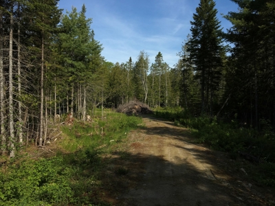 Off-Grid Cabin on a Trout Stream Maine - image 39