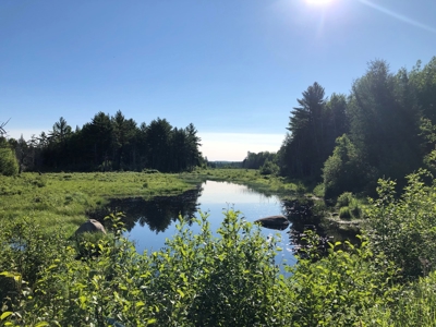 Off-Grid Cabin on a Trout Stream Maine - image 27