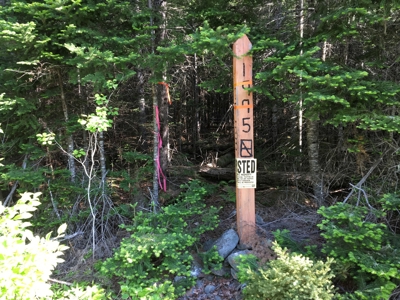 Off-Grid Cabin on a Trout Stream Maine - image 31