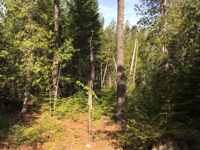 Off-Grid Cabin on a Trout Stream Maine - image 48