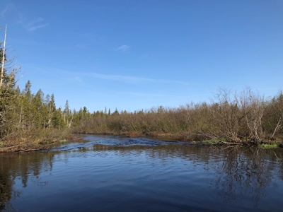 Off-Grid Cabin on a Trout Stream Maine - image 20