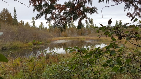 Off-Grid Cabin on a Trout Stream Maine - image 2