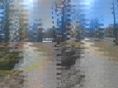 Ranch Style Country Home For Sale Lincoln County Mississippi - image 6