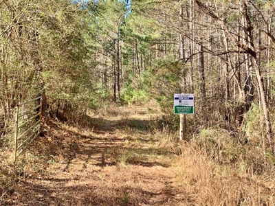 Secluded Hunting Land Bordering Homochitto National Forest - image 15