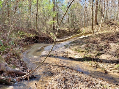 Secluded Hunting Land Bordering Homochitto National Forest - image 7