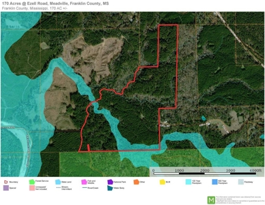 Secluded Hunting Land Bordering Homochitto National Forest - image 19