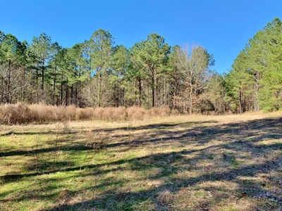 Secluded Hunting Land Bordering Homochitto National Forest - image 1
