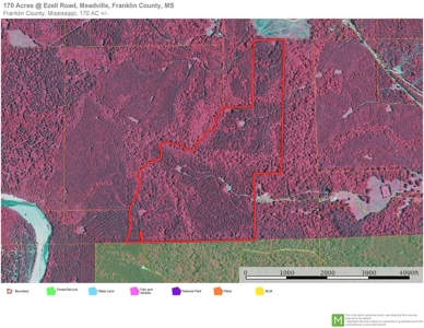 Secluded Hunting Land Bordering Homochitto National Forest - image 21