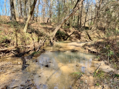 Secluded Hunting Land Bordering Homochitto National Forest - image 6