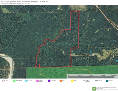 Secluded Hunting Land Bordering Homochitto National Forest - image 18