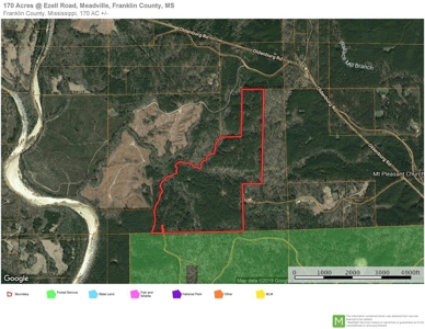 Secluded Hunting Land Bordering Homochitto National Forest - image 17