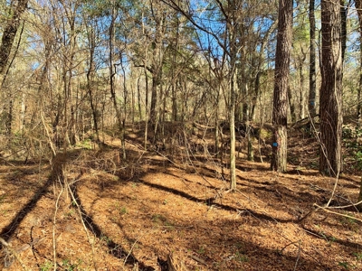 Secluded Hunting Land Bordering Homochitto National Forest - image 5