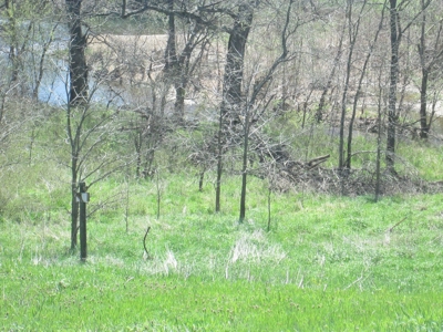 Riverfront Parcel for Sale in Southern Missouri Ozarks - image 3