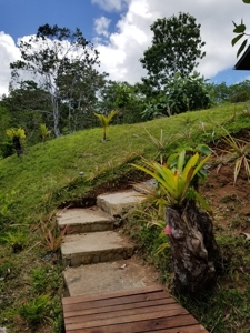Picture perfect island home Bocas del Toro Panama - image 12